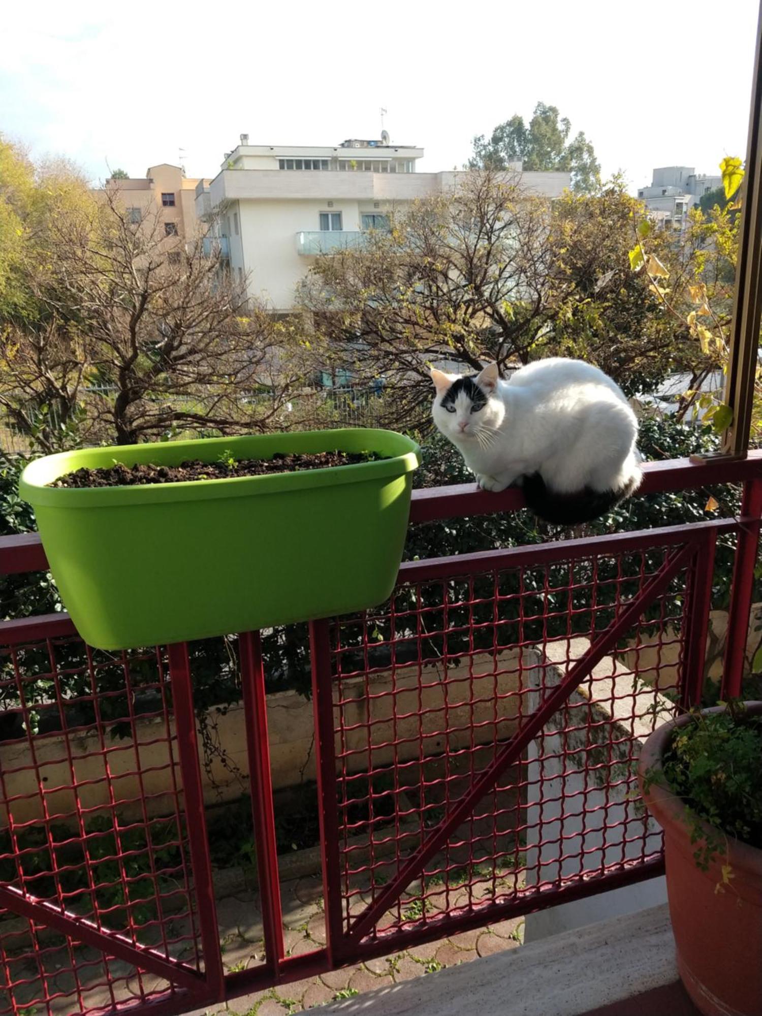Intero Appartamento Con Giardino E Parcheggio Roma Exterior foto